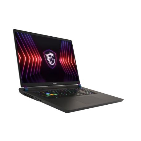 MSI Vector 17 HX A14VHG-1009  Gaming-Notebook