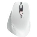 CHERRY STREAM MOUSE COMFORT  Maus
