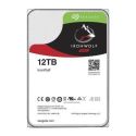 Seagate IronWolf NAS 12 TB CMR  Festplatte