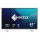 EIZO EV4340X-BK  LED-Monitor